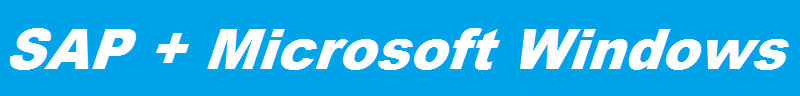 SAP + Windows Development
